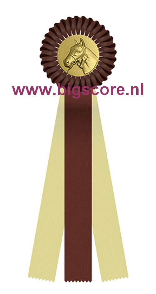 R 12 1-Ringsrozet Multi 3 liasters Blanco Ø 10,5 L: 25 cm met optie Full-Colour Ø 50 mm afslag